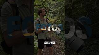 3 Tipps für die Vogelfotografie #Birding