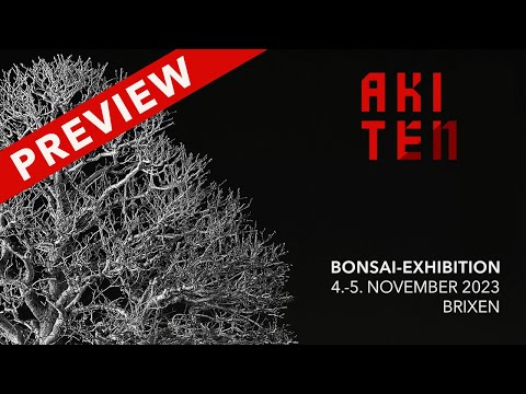 Bonsai Exhibition AKI TEN 2023 Preview, organized by the Bonsai Club Brixen