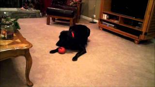 Boon&#39;s Christmas Presents