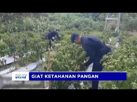 DANSAT BRIMOB POLDA KALTENG GELAR KEGIATAN KETAHANAN PANGAN