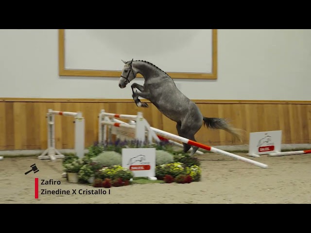 Zafiro