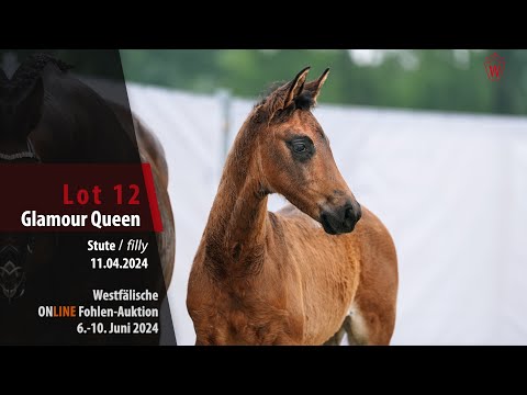 Online Fohlen-Auktion Lot 12 Glamour Queen Stute v. Glamdale I WP - Real Diamond