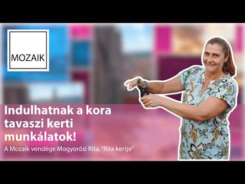 Mozaik – Indulhatnak a kora tavaszi kerti munkálatok! – vendég: Mogyorósi Rita
