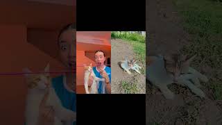 #shorts #short #trend #edit #memes #funny