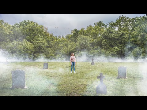 VISITÉ EL BOSQUE EMBRUJADO DE RUMANÍA