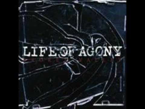 Thumbnail for Life Of Agony - Broken Valley by Life of Agony