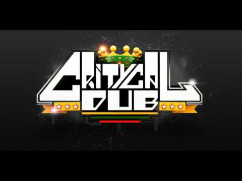 Critycal Dub Exclusive Mix The Everyday Junglist Podcast Episode 284