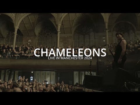CHAMELEONS - Live in Manchester 2024
