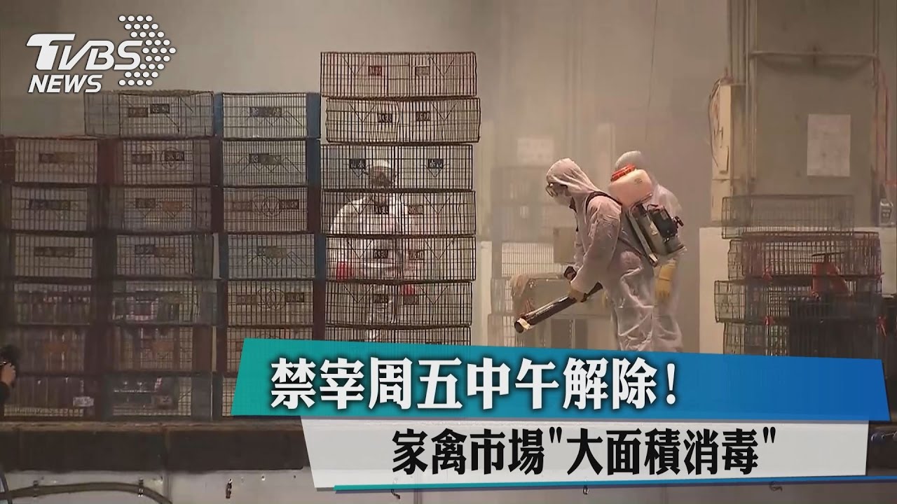 禁宰週五中午解除! 家禽市場大面積消毒