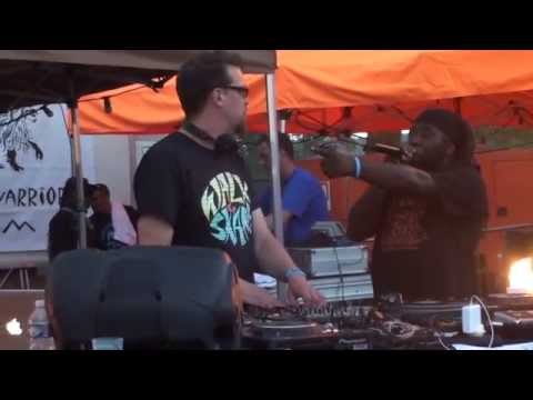 garance reggae festival (mungo s hi fi vs solo banton)