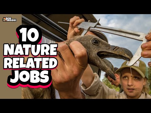 10 Nature Related HIGHLY PAID jobs with Awesome Future