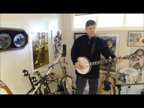 Possum up a Gum Stump