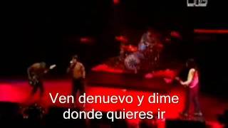 Red Hot Chili Peppers - I could die for you