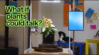 What if plants could talk?