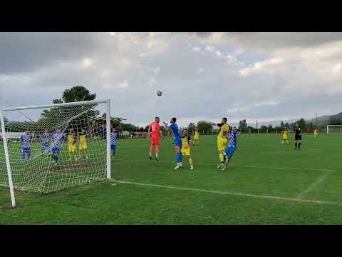 Rezumat Aurul Brad - Vointa Lupac 1-3