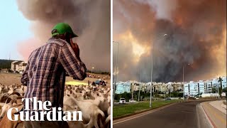 Leave everything let it burn: goat herder urges as