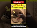 MRI Scanning Facts Explained Factsintelugu MRI స్కాన్ Amazingfacts Truefacts Shorts