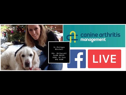 CAM LIVE: A multimodal approach to treating arthritic patients with Philippa Mitchell