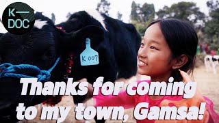 [ENG CC] Thanks for coming to my town, Gamsa! | How 101 cows have changed women's lives | KBS 2403