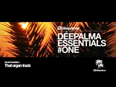 David Caballero - That Organ Track (Original Mix)