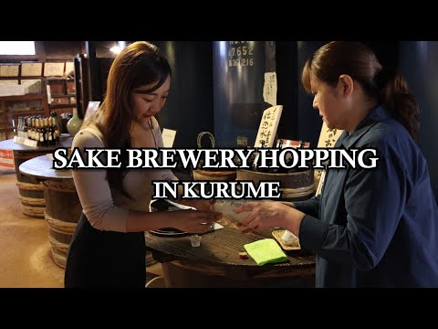 【4K】Sake Brewery Hopping in Kurume