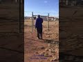 Andizi Phangelani Bricks Andizi