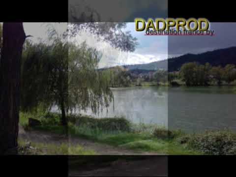 Etangs de Bas en Basset 43