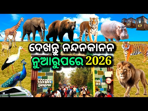 ଦେଖନ୍ତୁ ନୂଆ ରୂପରେ ନନ୍ଦନକାନନ, nandankanan zoological park, nandankanan 2026, nandankanan zoo, tiger