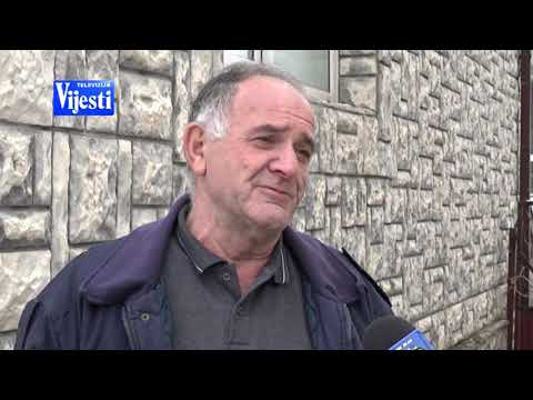 PLAV I GUSINJE KORONA - TV VIJESTI 23.03.2020.