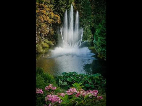 I surrender all - Piano Instrumental