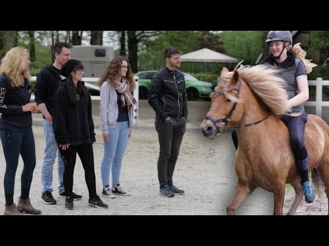 Islandpferd mit Trarö wird auf links gedreht - 3 Tage die sein Leben verändern