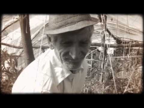 Ionel Țocan - poetul grădinar din Bărca