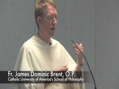 Click to Watch the Reason and the Year of Faith: Wake Up from Newton's Sleep and Believe! video Click to Watch the Reason and the Year of Faith: Wake Up from Newton's Sleep and Believe! video