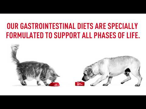 Royal Canin VD Dog Gastro Intestinal Low Riebal 6kg video