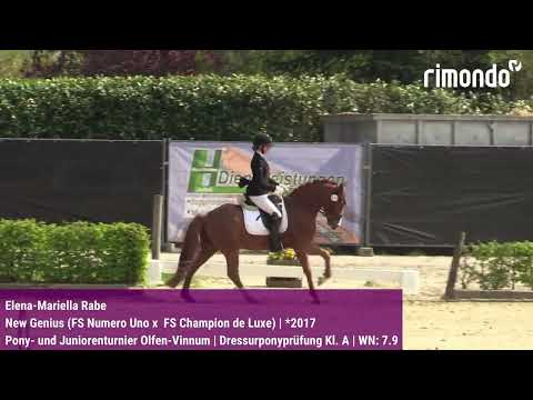 BuCha-Quali Pony- und Juniorenturnier Olfen-Vinnum – Elena-Mariella Rabe  & New Genius