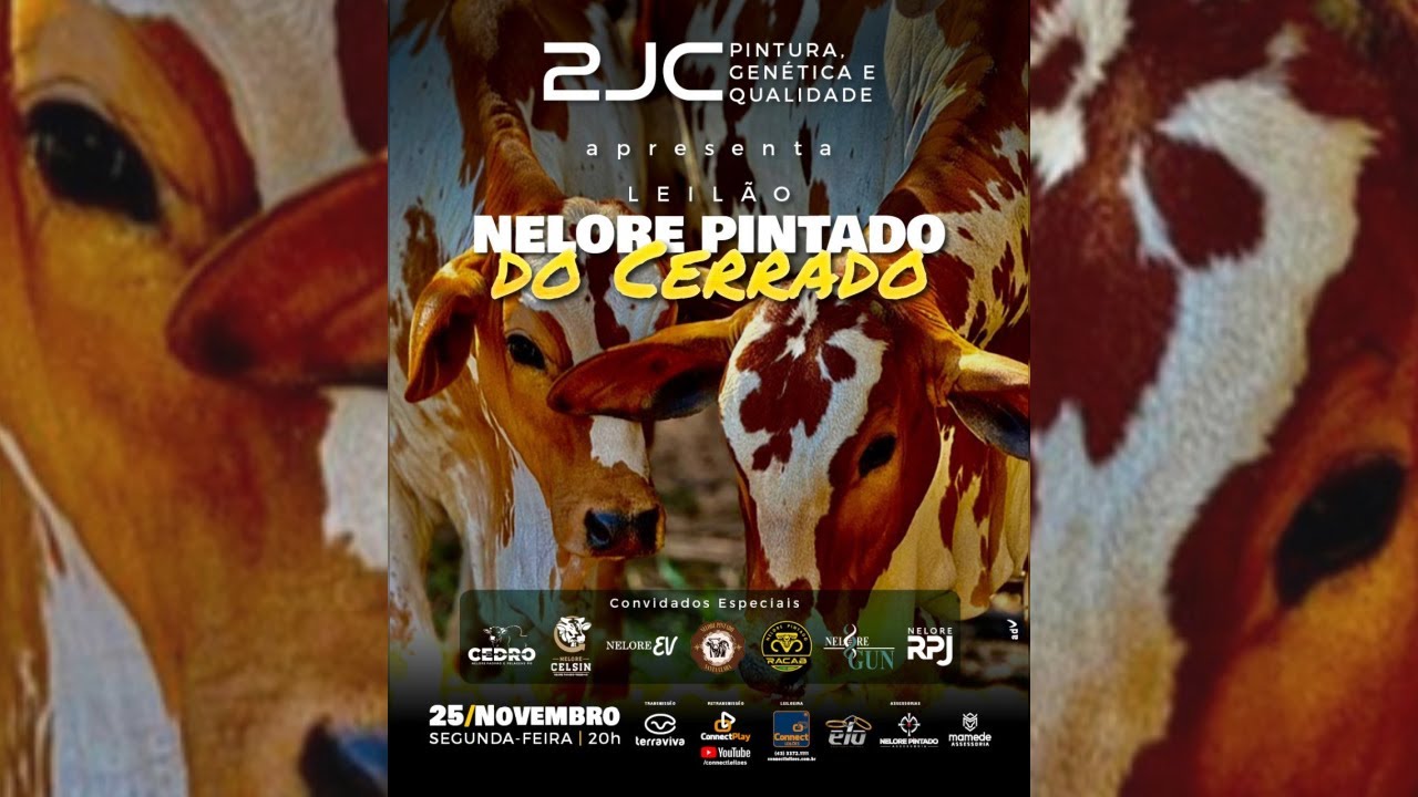 Leilão Nelore Pintado do Cerrado | 25/11/2024  - 20H