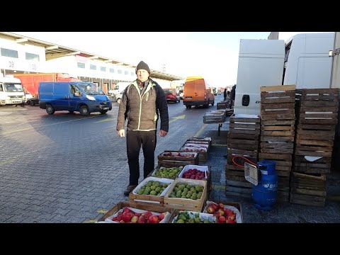 Bronisze: rynek jabłek zamrożony, ceny bardzo zróżnicowane