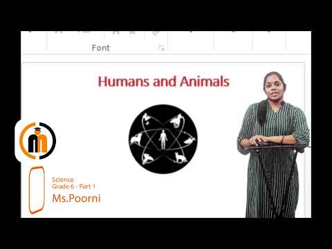 Cambridge Curriculum Grade 6 - Science - Unit 1 Part 1 - Humans And Animals