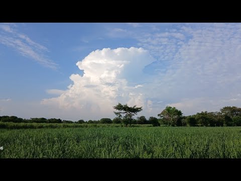 # 47 4 BONITAS MANZANAS EN RANCHO EL POTRILLO✅SAN LUIS TALPA!! A 1 KILÓMETRO ENERGÍA ELÉCTRICA✨