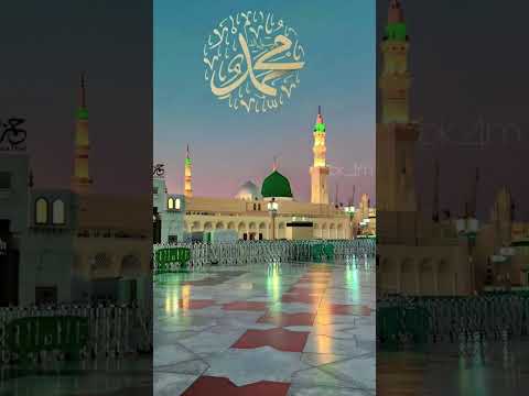 ❤️❤️❤️❤️