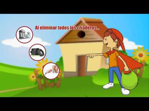 campaña de prevención contra dengue y chikungunya