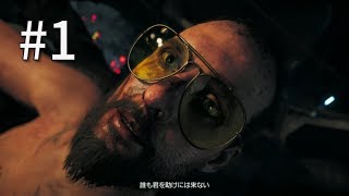 ケイタ、プッシュのFARCRY5【Part1】