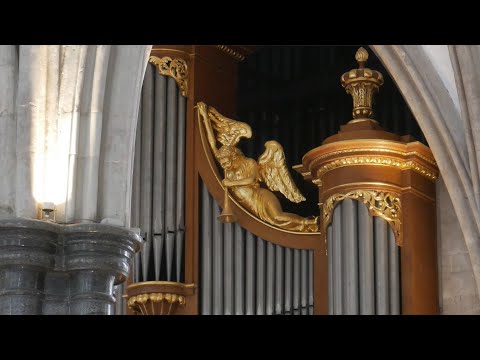 Darke Chorale Fantasia on Darwall's 148th 'Ye Holy Angels Bright' Op. 20, No. 2