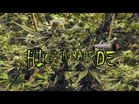Pringle X Bolus - High Grade (Audio)