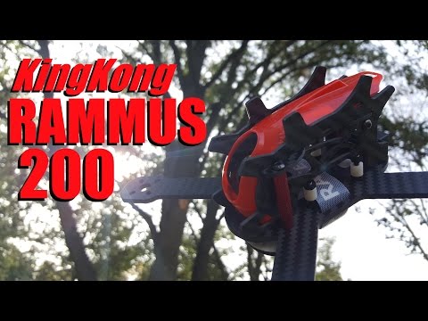 KingKong RAMMUS200 Frame Review from Banggood