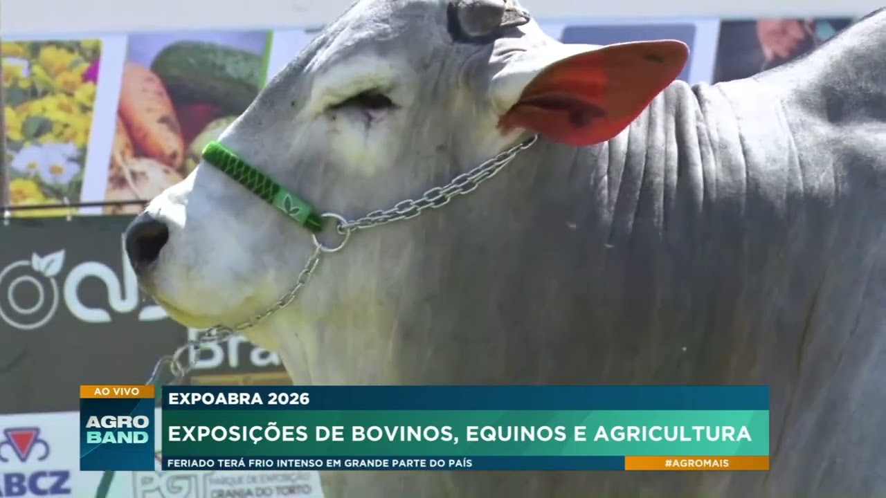 Expoabra 2026: produção agropecuária ganha destaque em Brasília
