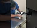 Masha Vaccination And Deworming
