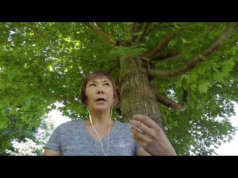 The Stress of Fear and Survival - The Undefined Spleen Center - Human Design