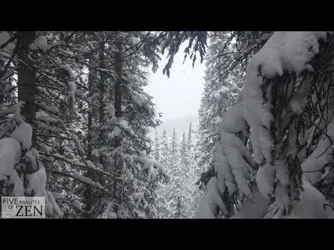 Five Minutes of Zen (FMOZ 010) Snow covered pine trees