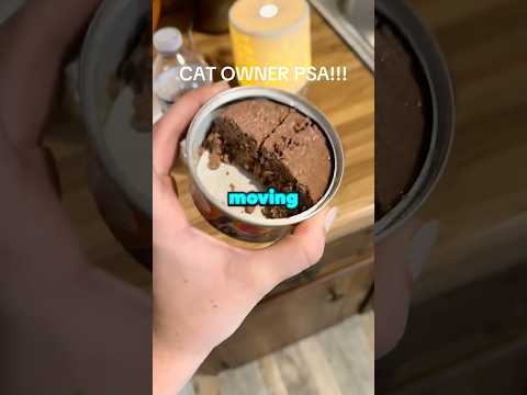 The Ending Is Crazy 🤯